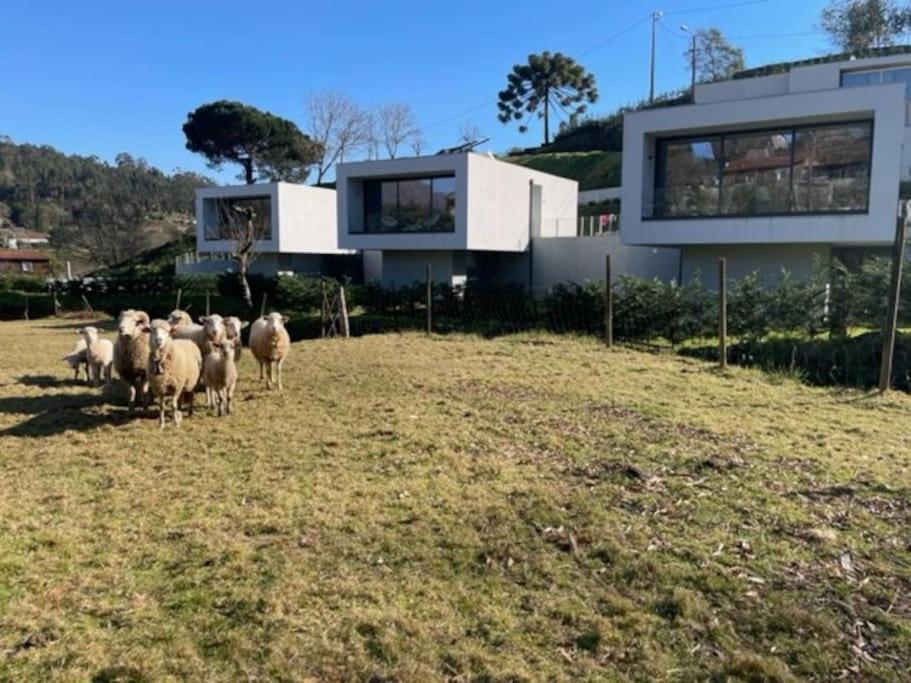 Viana Do Castelo - Amonde Village -Casa A * Relax Экстерьер фото