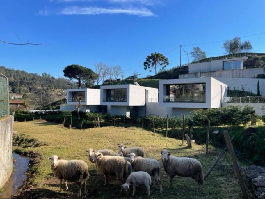 Viana Do Castelo - Amonde Village -Casa A * Relax Экстерьер фото